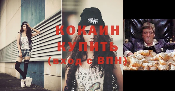 молекула духа Алексин