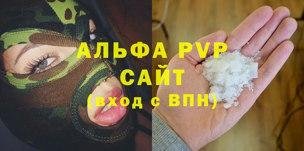 гашик Арсеньев